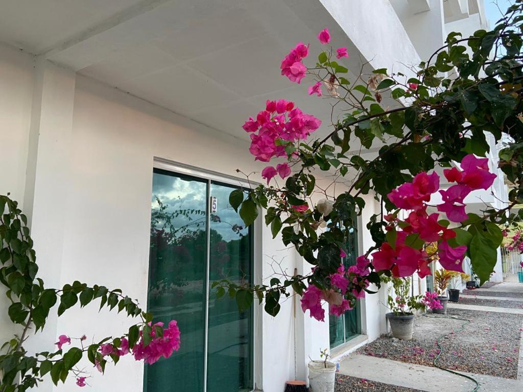 Guest house Solar Teixeira Flats 2*